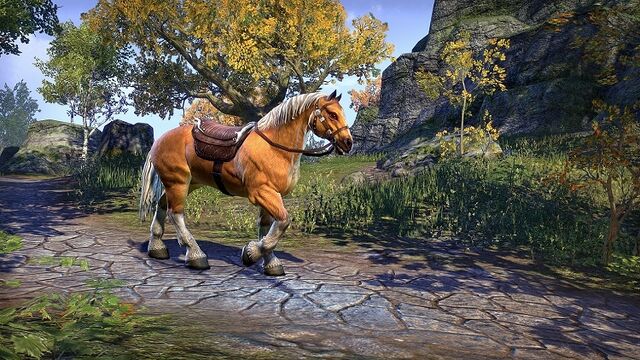 File:Palomino Horse ESO.jpg
