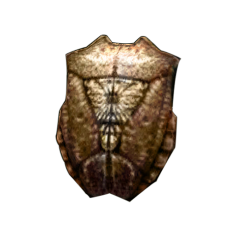 File:ShieldoftheundauntedMorrowind.png