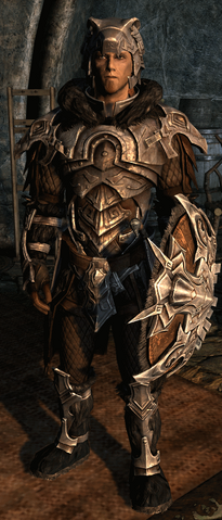 File:SkyrimNordArmor.png