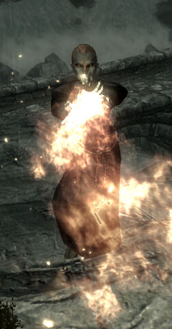 File:Novicefiremage.jpg