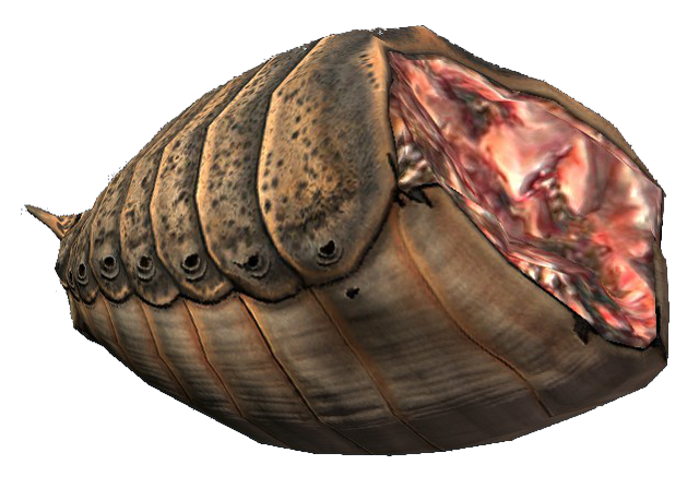 File:Ash hopper meat.png