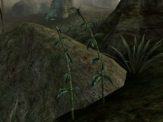 File:Marshmerrow.png