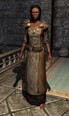 File:Refined Tunic 000E84C6.png