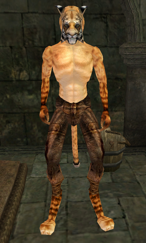 File:Joshur.png