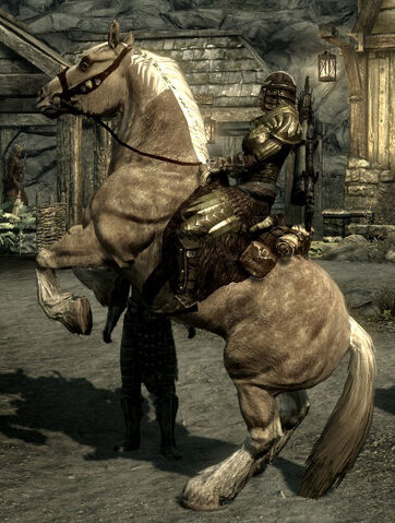 File:Palomino.jpg