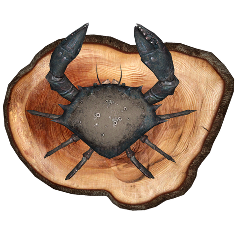 File:Mounted Mudcrab.png