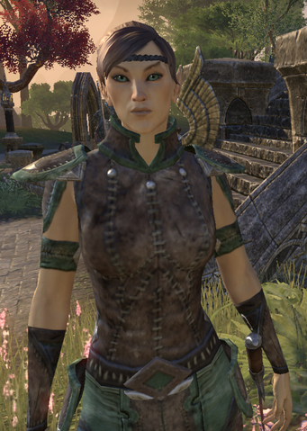 File:Skywatch Guard.png