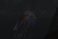 Betty Netch.png