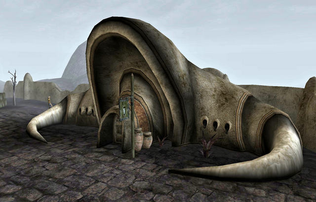 File:Ald'ruhn Fighters Guild.png