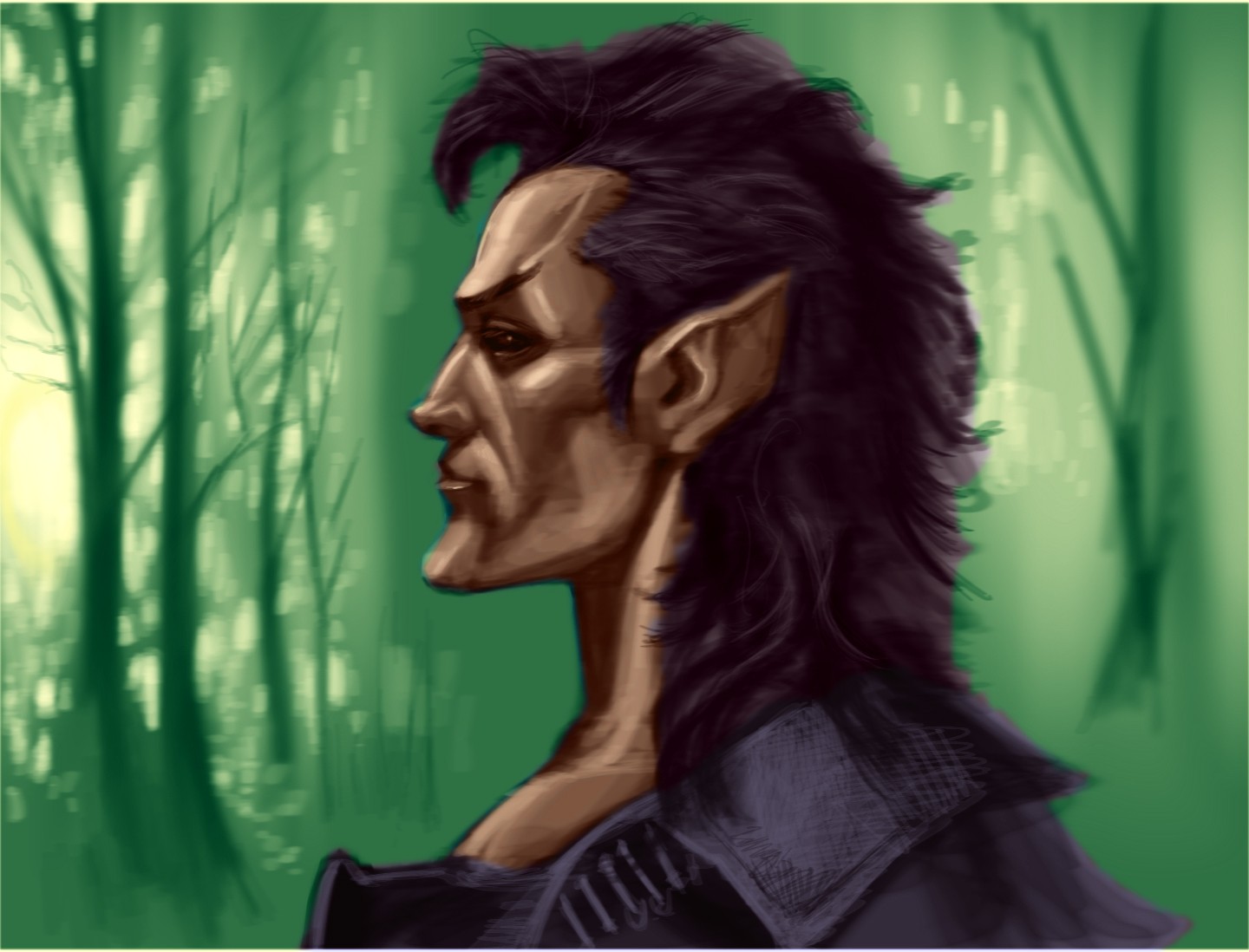 Download Image - Wood Elf Side View.jpg | Elder Scrolls | FANDOM powered by Wikia