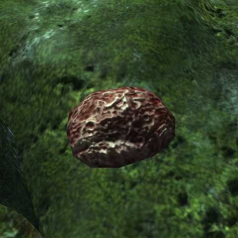 File:BoneMarrow.png