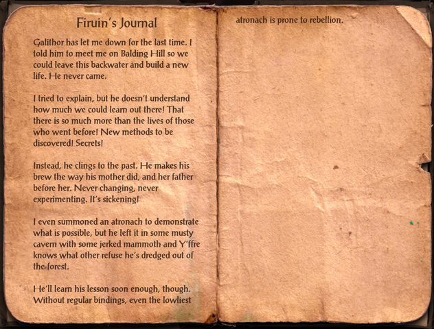File:Firuin's Journal.png