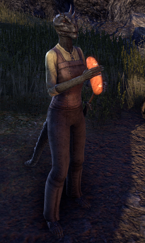 File:Pinooh.png