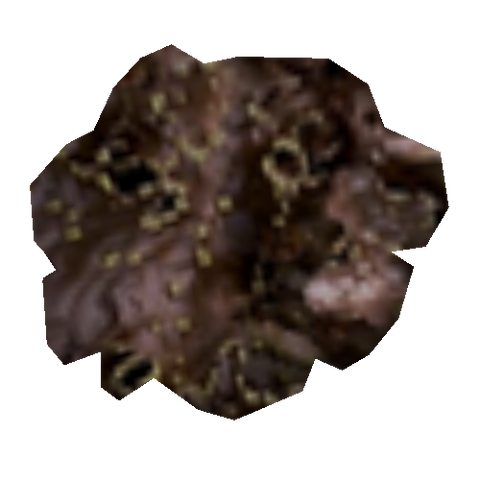 File:RedLichen MW.png