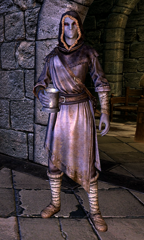 File:TESV Brelyna.png