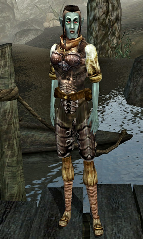 File:Nireli Farys.png