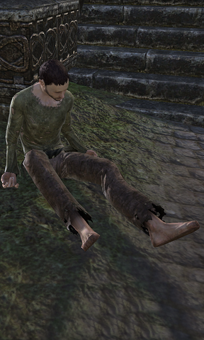 File:Beggar Matthew.png