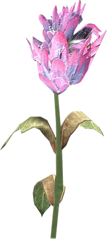 File:Purple mountain flower.png