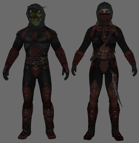 Fichier:Skyrim armsybil.jpg