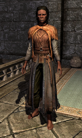 File:Fur-Trimmed Cloak 0008698C.png