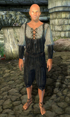 File:AleronLoche.png