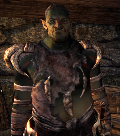 File:Shaman Bogham.png