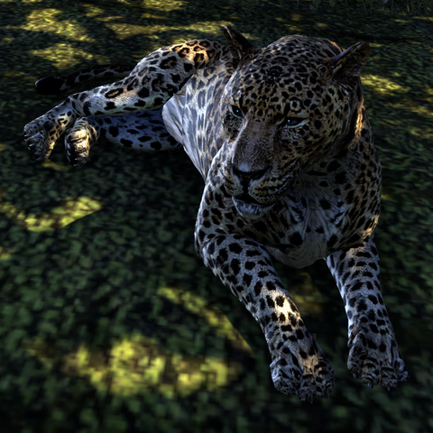 File:Purrs-In-Sun TESO.png