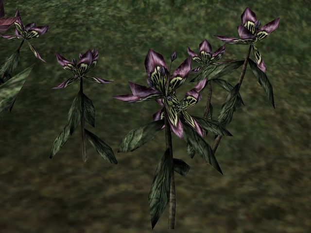 File:Black Anther.png