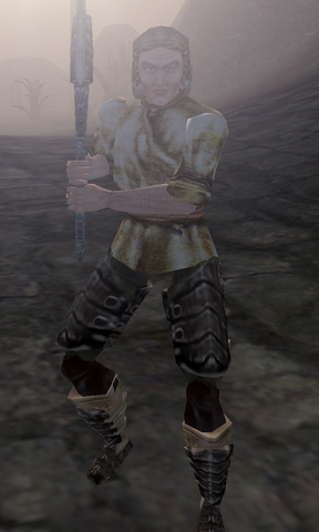 File:Snadir.png