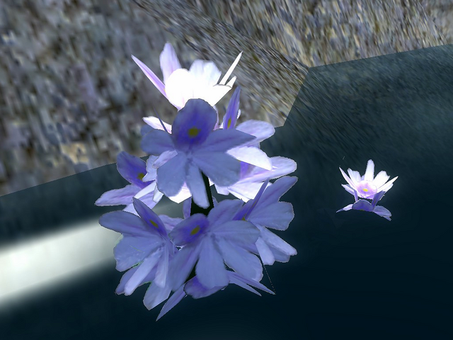 File:Water Hyacinth.png