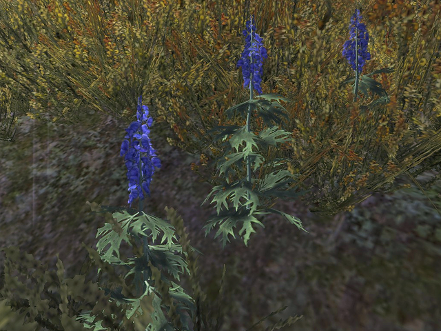 File:Monkshood.png