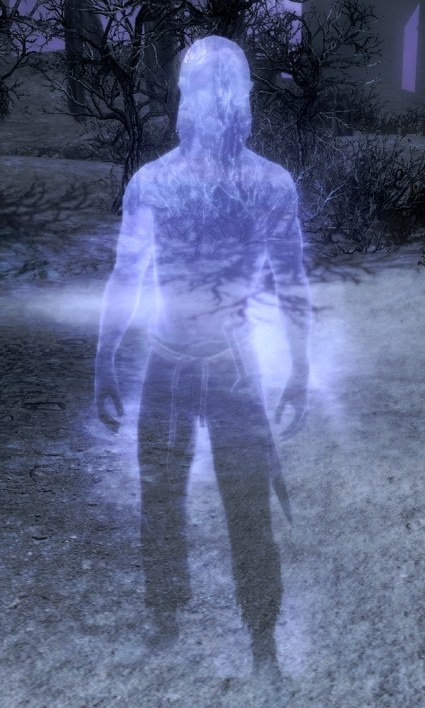 cliff racer welcome to morrowind cliff racer welcome to morrowind