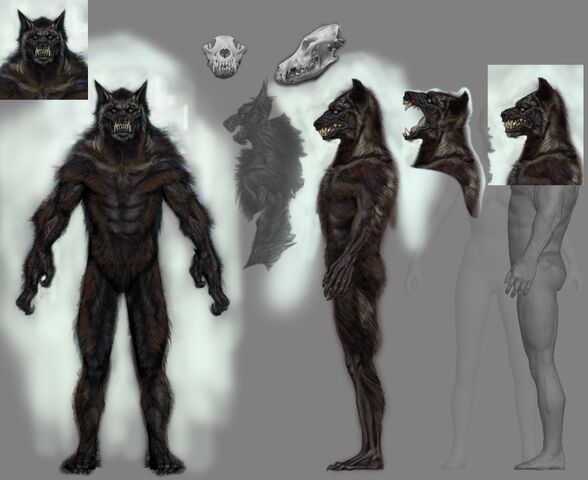 File:Werewolf Male.jpg