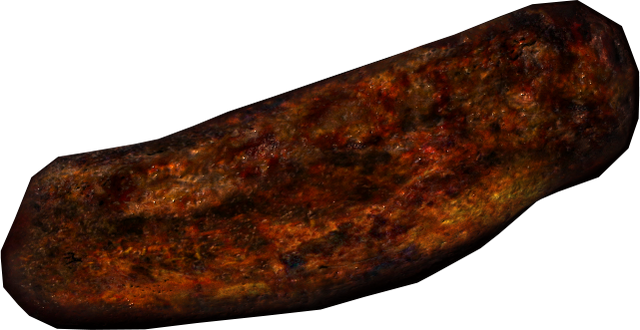 File:Charred skeever meat.png