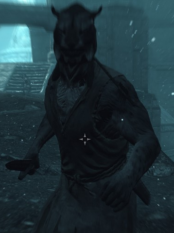 File:Falmer Servant Khajiit.png