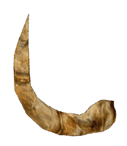 File:Oblivion MinotaurHorn.png