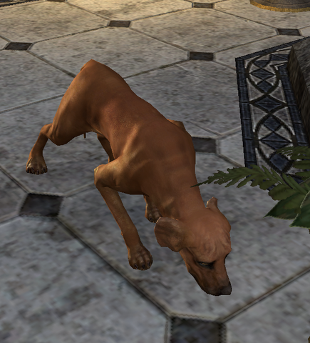 File:Strongnose.png