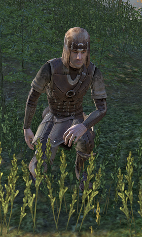 File:Armel Remly.png