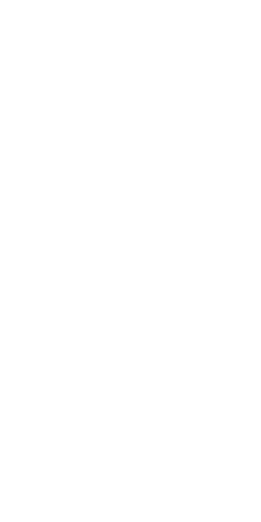 File:Dwemeris R.png