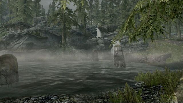 File:Skyrim Evergreen Grove.jpg