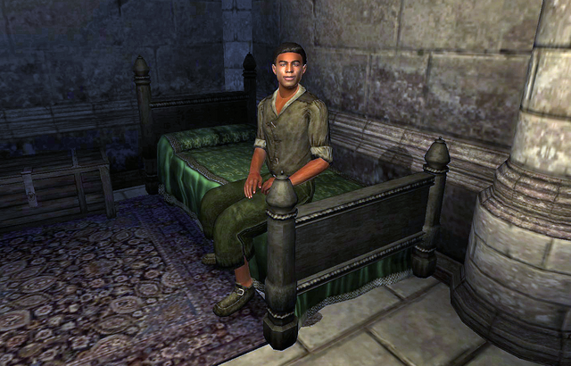 File:Stendarr's Mercy Kellen.png