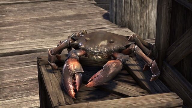 File:Mudcrab Vanity Pet.jpg