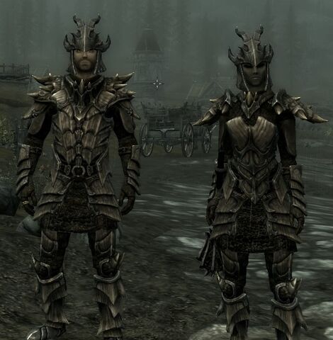 File:Dragonarmormalefemale.jpg