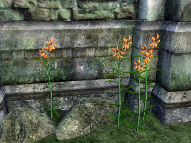 File:Tiger Lily.png