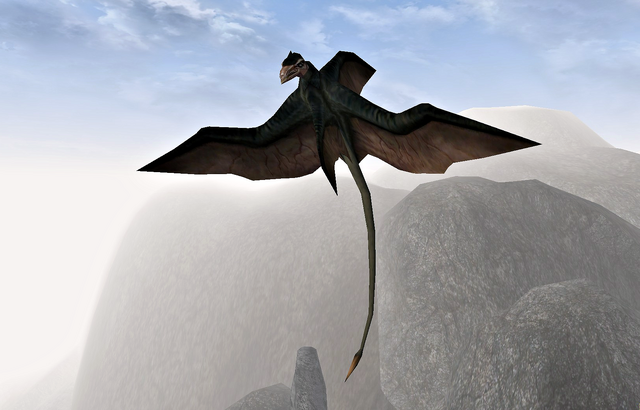 File:Cliff Racer (Morrowind).png