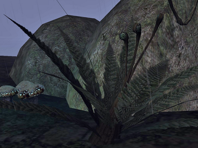 File:Slough Fern.png