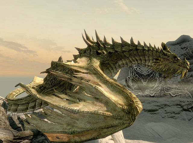File:VC-Paarthurnax.jpg
