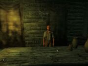 Vlanhonder Moslin