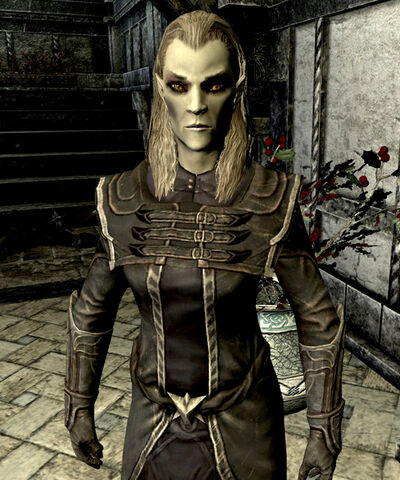 File:VC-Elenwen.jpg