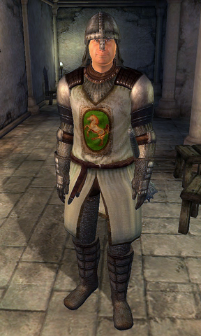 File:Leyawiin Jailor.png